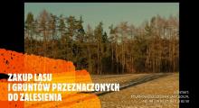 Nadleśnictwo Polanów jest zainteresowane zakupem lasów i gruntów przeznaczonych do zalesienia.